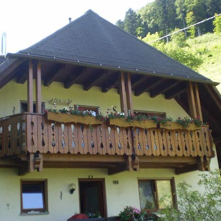 Апартаменти Haus Am Bach Фрайбург-у-Брайсгау Екстер'єр фото