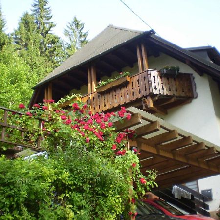 Апартаменти Haus Am Bach Фрайбург-у-Брайсгау Екстер'єр фото